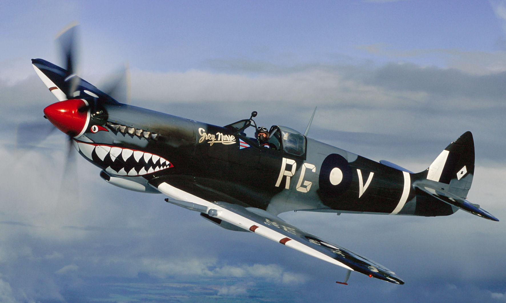 Spitfire Plane With Teeth